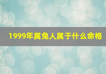 1999年属兔人属于什么命格