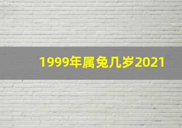 1999年属兔几岁2021