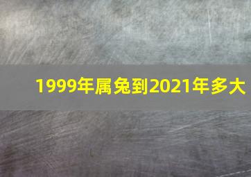 1999年属兔到2021年多大