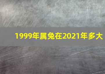 1999年属兔在2021年多大