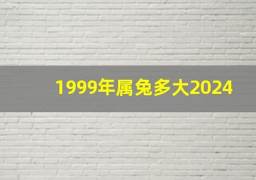 1999年属兔多大2024