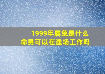 1999年属兔是什么命男可以在渔场工作吗