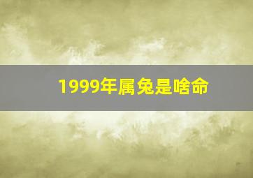 1999年属兔是啥命