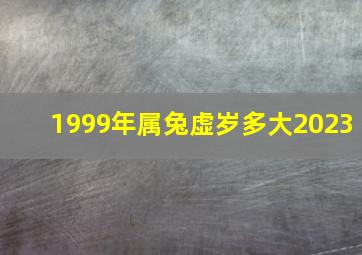 1999年属兔虚岁多大2023