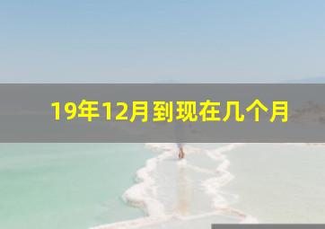 19年12月到现在几个月