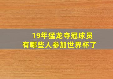 19年猛龙夺冠球员有哪些人参加世界杯了