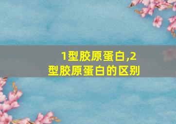 1型胶原蛋白,2型胶原蛋白的区别