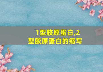 1型胶原蛋白,2型胶原蛋白的缩写