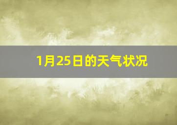 1月25日的天气状况