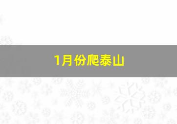 1月份爬泰山