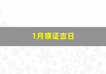 1月领证吉日