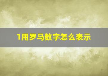 1用罗马数字怎么表示