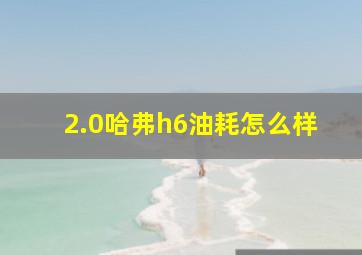 2.0哈弗h6油耗怎么样