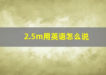 2.5m用英语怎么说