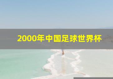 2000年中国足球世界杯