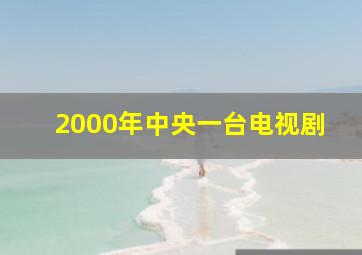 2000年中央一台电视剧