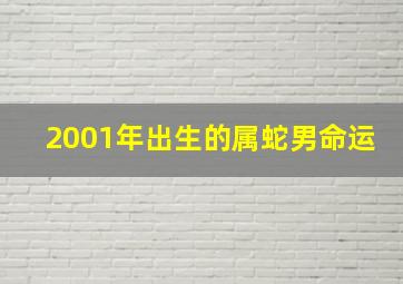 2001年出生的属蛇男命运