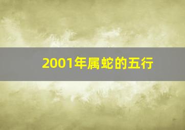 2001年属蛇的五行