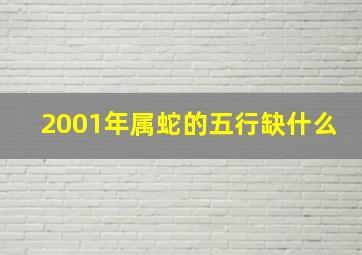 2001年属蛇的五行缺什么