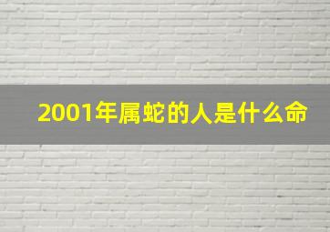 2001年属蛇的人是什么命