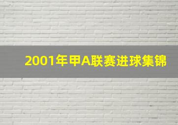 2001年甲A联赛进球集锦