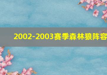 2002-2003赛季森林狼阵容