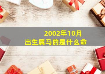 2002年10月出生属马的是什么命