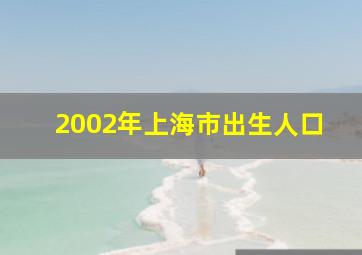 2002年上海市出生人口