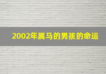 2002年属马的男孩的命运