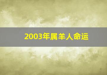 2003年属羊人命运