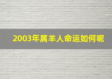 2003年属羊人命运如何呢