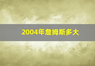 2004年詹姆斯多大