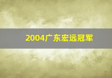 2004广东宏远冠军