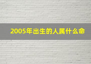 2005年出生的人属什么命