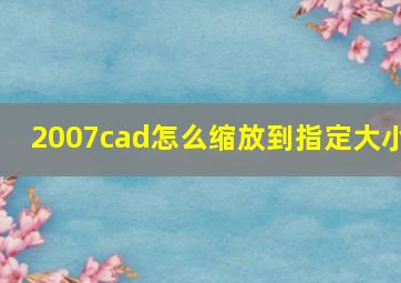 2007cad怎么缩放到指定大小