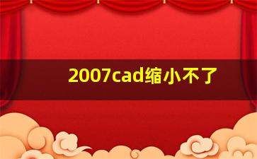 2007cad缩小不了