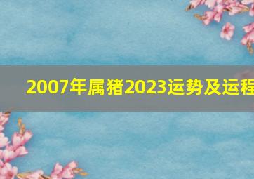 2007年属猪2023运势及运程