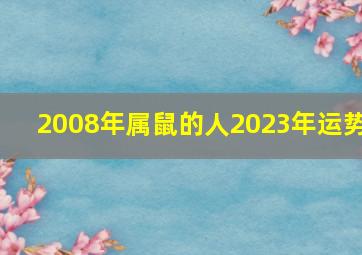 2008年属鼠的人2023年运势