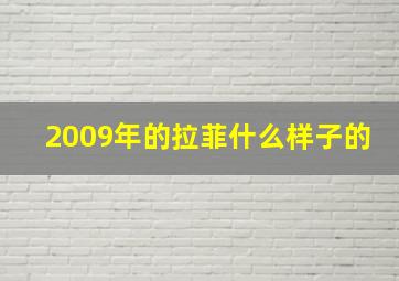 2009年的拉菲什么样子的