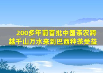 200多年前首批中国茶农跨越千山万水来到巴西种茶受益