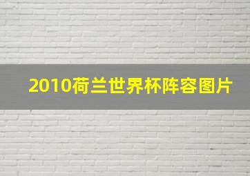 2010荷兰世界杯阵容图片