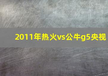 2011年热火vs公牛g5央视