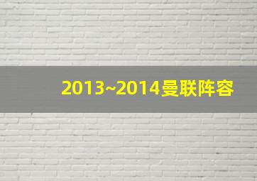 2013~2014曼联阵容