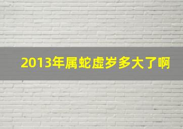 2013年属蛇虚岁多大了啊