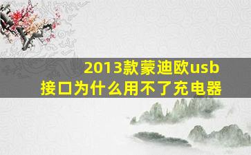 2013款蒙迪欧usb接口为什么用不了充电器