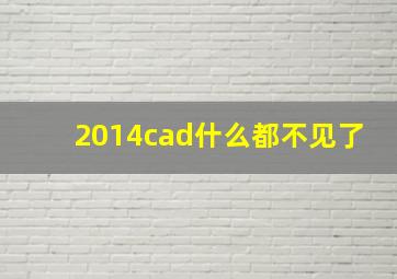 2014cad什么都不见了