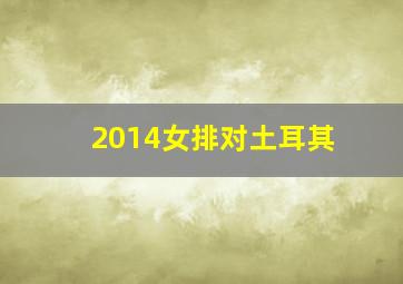 2014女排对土耳其