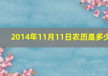 2014年11月11日农历是多少