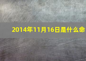 2014年11月16日是什么命