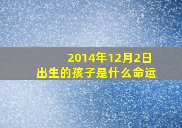 2014年12月2日出生的孩子是什么命运